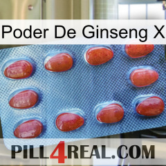 Ginseng Power X 06